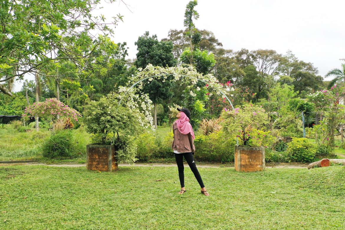 Taman Bunga Bukit Bougenville Singkawang Siti Mustiani