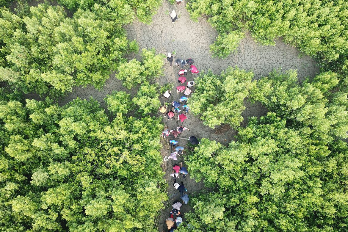 Menanam Pohon Mangrove di Mempawah Mangrove Festival 2018