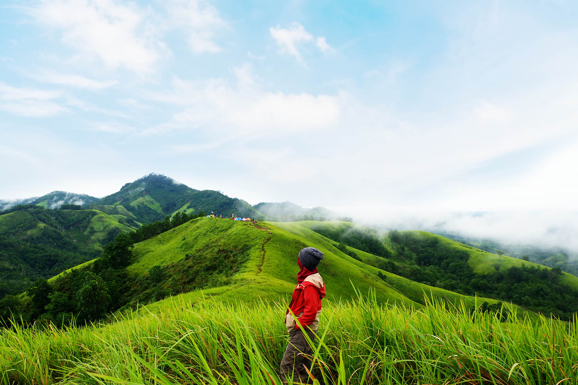 Pentingnya Udara Bersih Bagi Kesehatan