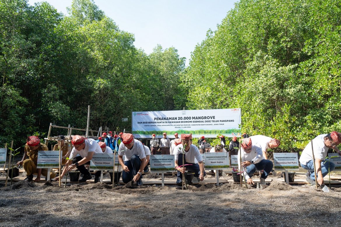 Peringati Hari Lingkungan Hidup Sedunia, Yayasan AHM Tanam Puluhan Ribu Mangrove